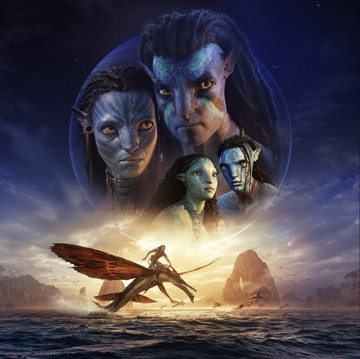 Sadarkah Kamu? 4 Film Hollywood Ini Ternyata Terinspirasi dari Indonesia, Salah Satunya Film Box Office Avatar!
