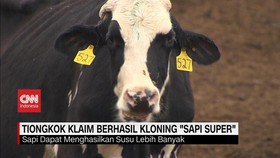 VIDEO: Tiongkok Klaim Berhasil Kloning 