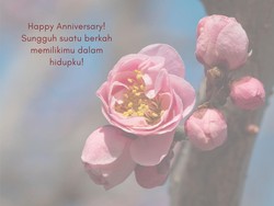 30 Kata-kata Anniversary Pernikahan, Romantis Bikin Pasangan Senyum
