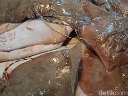 Ada Ikan Pari Utuh hingga 30 Jenis Ikan Asin di Pasar Flamboyan Pontianak