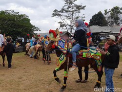 Serunya Naik Kuda yang Piawai Menari di Sumedang