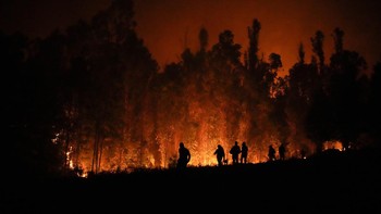 FOTO: Langit Jingga Tanah Membara Chile karena Kebakaran Hutan