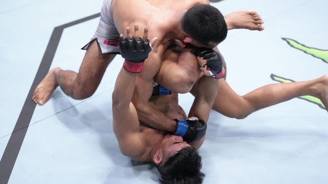 Beragam reaksi netizen bermunculan usai petarung asal Indonesia Jeka Saragih kalah dari petarung asal Amerika Serikat Westin Wilson di UFC, Minggu (16/6).