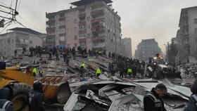 Erdogan: Turki Akan Bayar Sewa Setahun Rumah-Hotel Korban Gempa