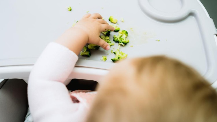 Ilustrasi Metode BLW baby eating broccoli with hands in early stages of baby-led weaning