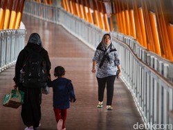 Kotoran Kucing di Skywalk Kebayoran Bikin Risi, Pemprov Colek TransJ