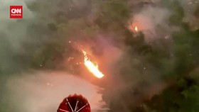 VIDEO: Kebakaran Hutan di Chile Meluas, 24 Orang Tewas