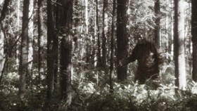 Pakar Beber Alasan Bigfoot Cuma Mitos