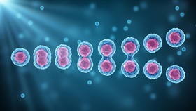 Pembelahan Meiosis, Pengertian dan Tahapannya