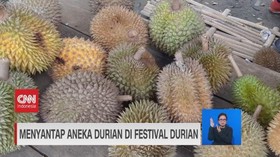VIDEO: Musim Panen, Yuk Icip Aneka Jenis Durian
