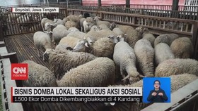 VIDEO: Serba Cuan dari Ternak Perhewanan