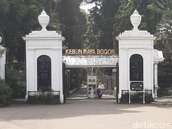 10 Cafe Dekat Kebun Raya Bogor yang Estetik dan Cocok Untuk Hangout