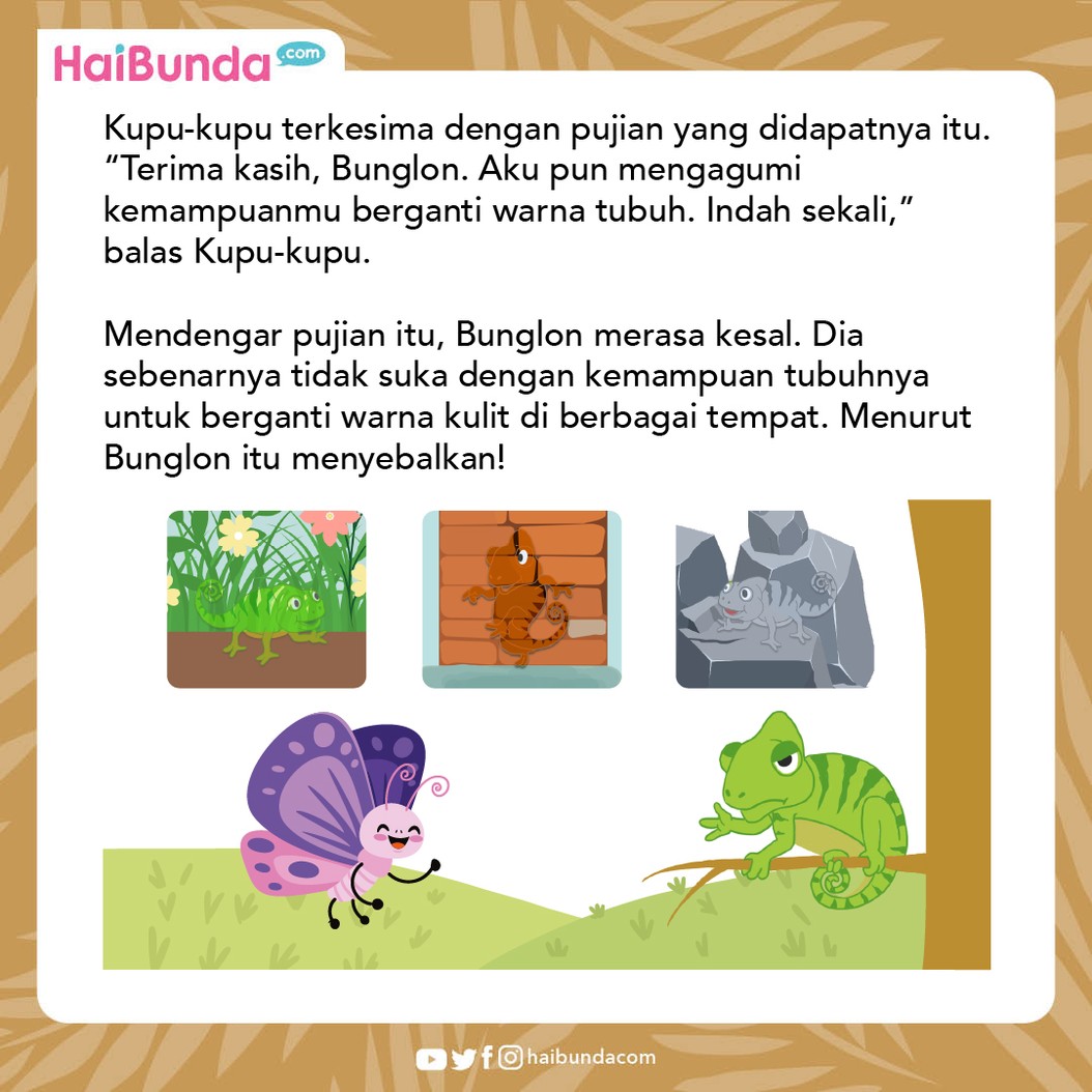 Cerita Fabel Bunglon Mau Jadi Kupu-kupu