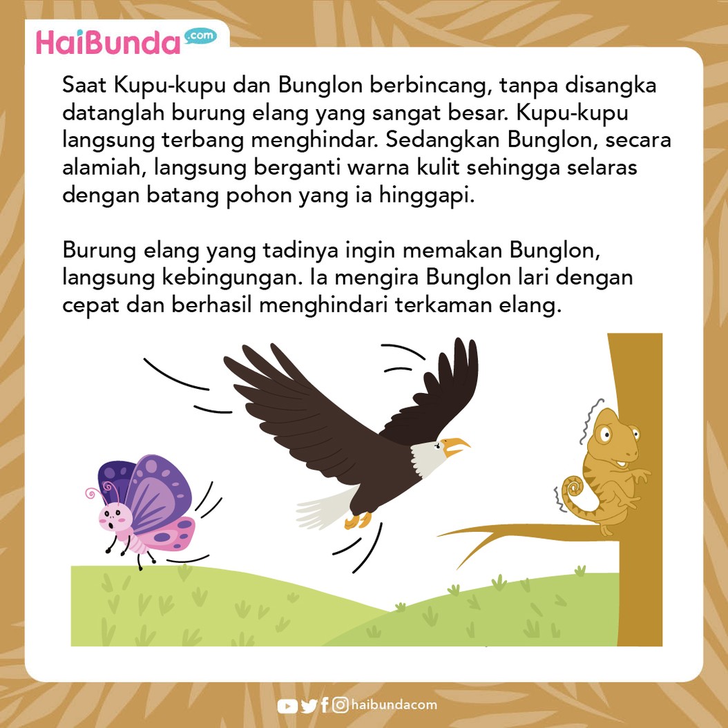 Cerita Fabel Bunglon Mau Jadi Kupu-kupu