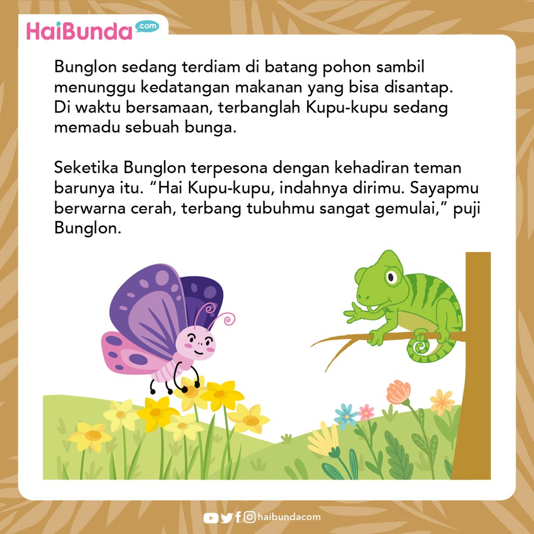 Cerita Fabel Bunglon Mau Jadi Kupu-kupu