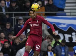 Gakpo Disebut Terlalu Cepat Gabung Liverpool