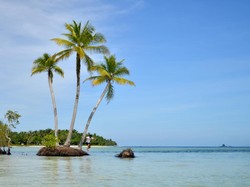 Mentawai Bakal Punya Resort Eco-Green 5.000 Hektare!