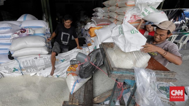 Presiden Jokowi menyebut cadangan beras pemerintah (CBP) di Perum Bulog masih kurang. Bagaimana keamanan pasokan beras RI?