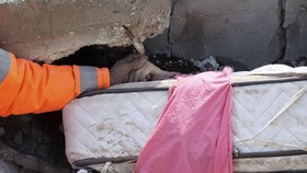 FOTO: Pilu Ayah Genggam Jasad Putri yang Tertimbun Puing Gempa Turki