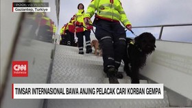 VIDEO: Timsar International Bawa Anjing Pelacak Cari Korban Gempa