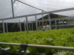 Menagih Janji Pemprov Jabar soal Petani Milenial