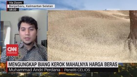 VIDEO: Mengungkap Biang Kerok Mahalnya Harga Beras