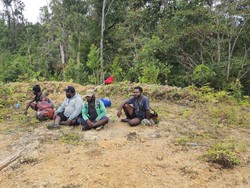 Kesaksian Korban soal 15 Pekerja Diancam KKB di Nduga, Masuk Hutan-Makan Ular