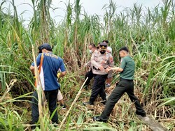 Heboh Penemuan Kerangka Manusia di Godean Sleman