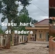 Viral di TikTok! Rumah Mewah di Madura Dijadikan Kandang Sapi, Duh Ternyata Bukan Sembarang Sapi Biasa Lho!