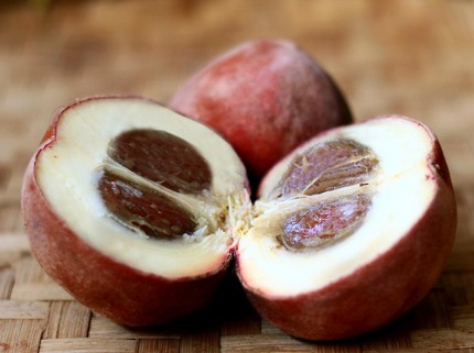 7 Manfaat Buah Bisbul untuk Kesehatan, Buah Mentega yang Banyak Ditemukan di Bogor