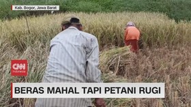 VIDEO: Beras Mahal, Konsumen Dan Petani Meronta