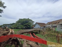 Atap SD Sananwetan 3 Kota Blitar Rusak Tertimpa Pohon Tumbang