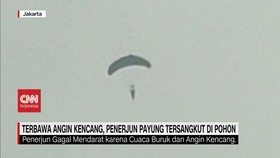 VIDEO: Terbawa Angin Kencang, Penerjun Payung Tersangkut di Pohon