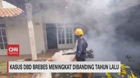 VIDEO: Kasus DBD Brebes Meningkat Dibanding Tahun Lalu