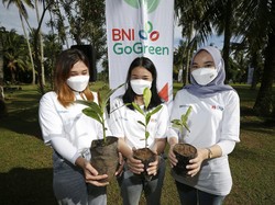 Dukung Sustainable Finance, Ini Jurus BNI Tekan Emisi Gas Rumah Kaca