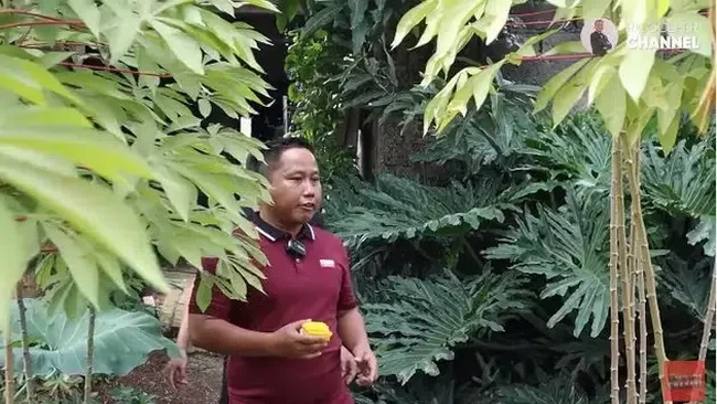 Narji Jalani Profesi Petani, Berapa Luas sih Tanah Milknya?