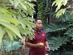 Narji Jadi Juragan Tanah Berkat Kepintaran Istri Investasi