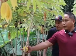 Belajar dari Narji yang Punya Lahan 1.000 Ha, Ini Tips Cuan Investasi Properti
