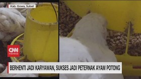 img-title VIDEO: Berhenti Jadi Karyawan, Sukses Jadi Peternak Ayam Potong