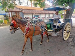 Kisah Kusir Delman di Bali yang Masih Setia dengan Pekerjaannya