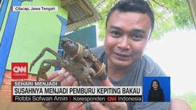 VIDEO: Susahnya Menjadi Pemburu Kepiting Bakau