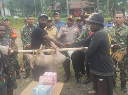 Istri Ditemukan Tinggal Tengkorak, Pria Tolikara Didenda Rp 1 M-100 Ekor Babi