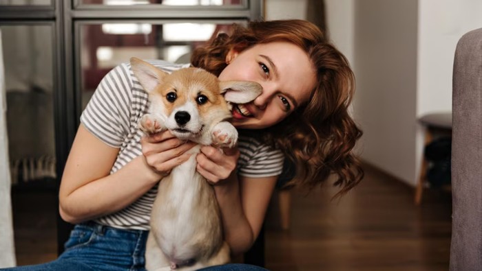 Rayakan Hari Valentine, Ini Rekomendasi Kado yang Bisa Kamu Berikan untuk Anjing Kesayangan!