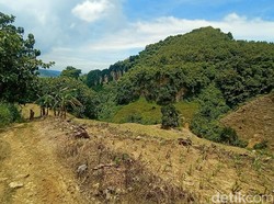 Kades Ungkap Sopir HRV yang Nyasar di Hutan Tambakromo Merasa Jalan Lurus