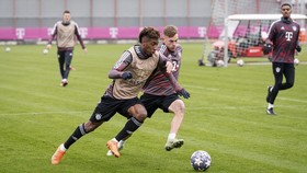 Jadwal Siaran Langsung PSG vs Bayern di 16 Besar Liga Champions