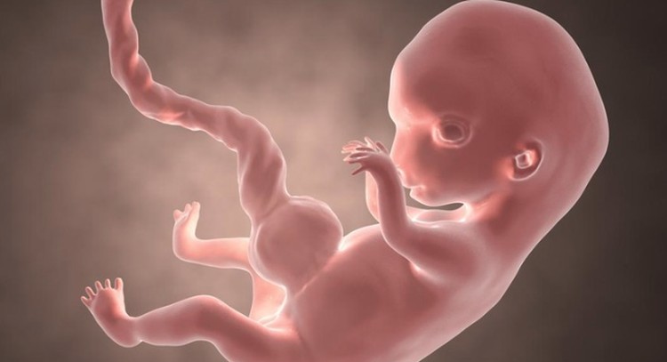 Mungkin banyak dari Bunda hamil di trimester 1, 2, dan 3 yang bertanya-tanya letak janin di perut sebelah mana ya? Yuk ketahui faktanya di sini, Bunda.