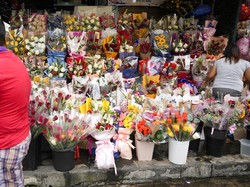 8 Rekomendasi Florist di Lombok, Cocok untuk Buket Hadiah dan Acara Spesial