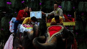 FOTO: Valentine, Puluhan Pasangan di Thailand Menikah di Atas Gajah