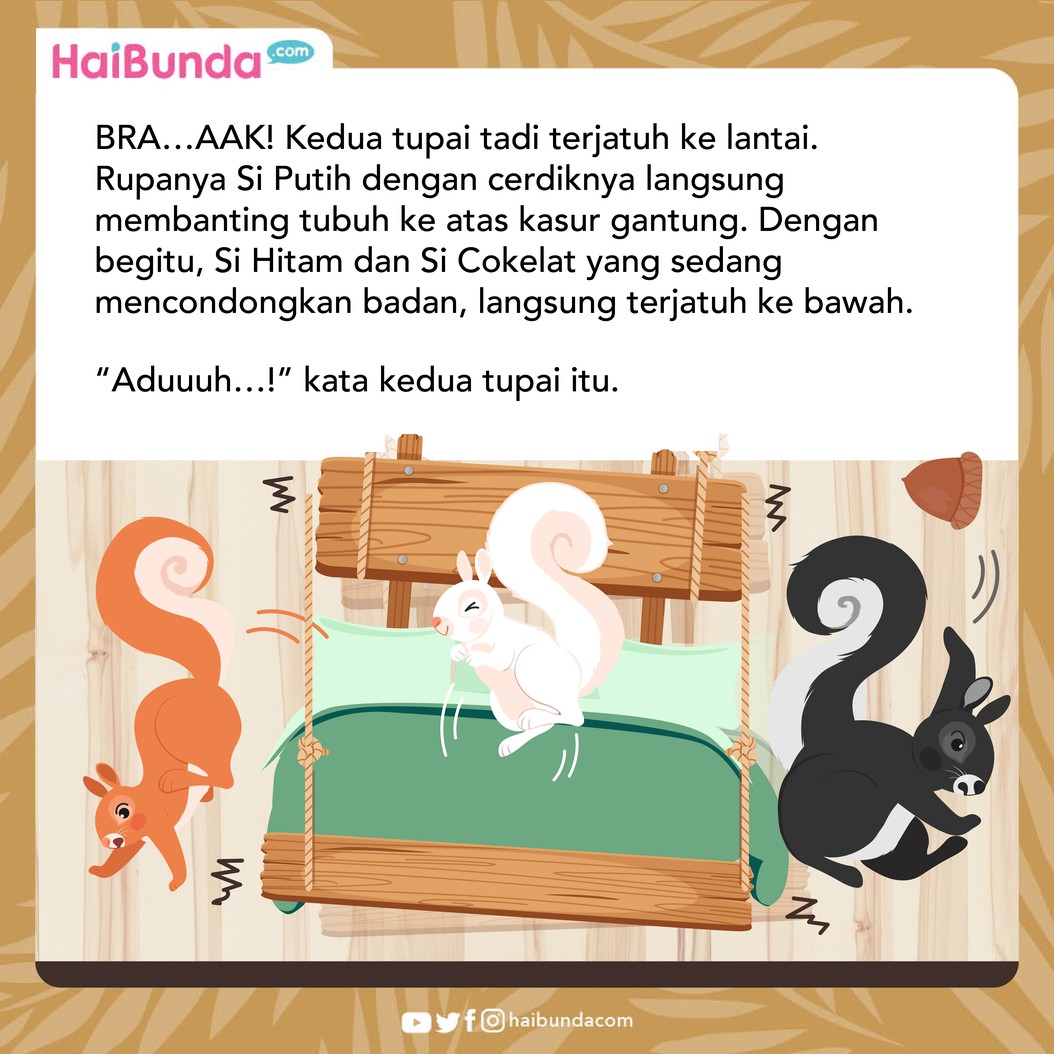 Dongeng Fabel Tupai Berguling
