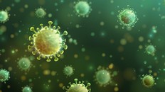 GEJALA DAN BAHAYA VIRUS MARBURG